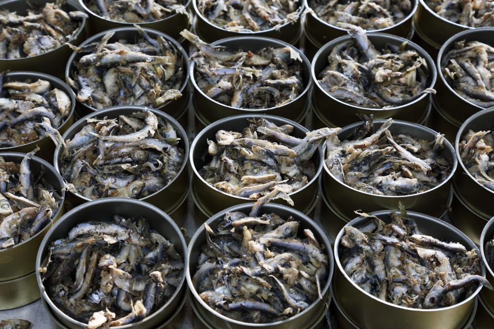 Canned fish mini-factory